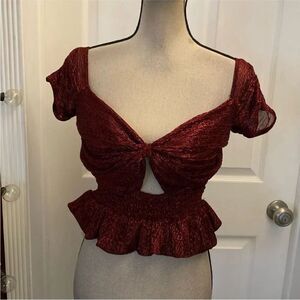 Azulu Chic Burgundy metallic Women's Crop Top, M